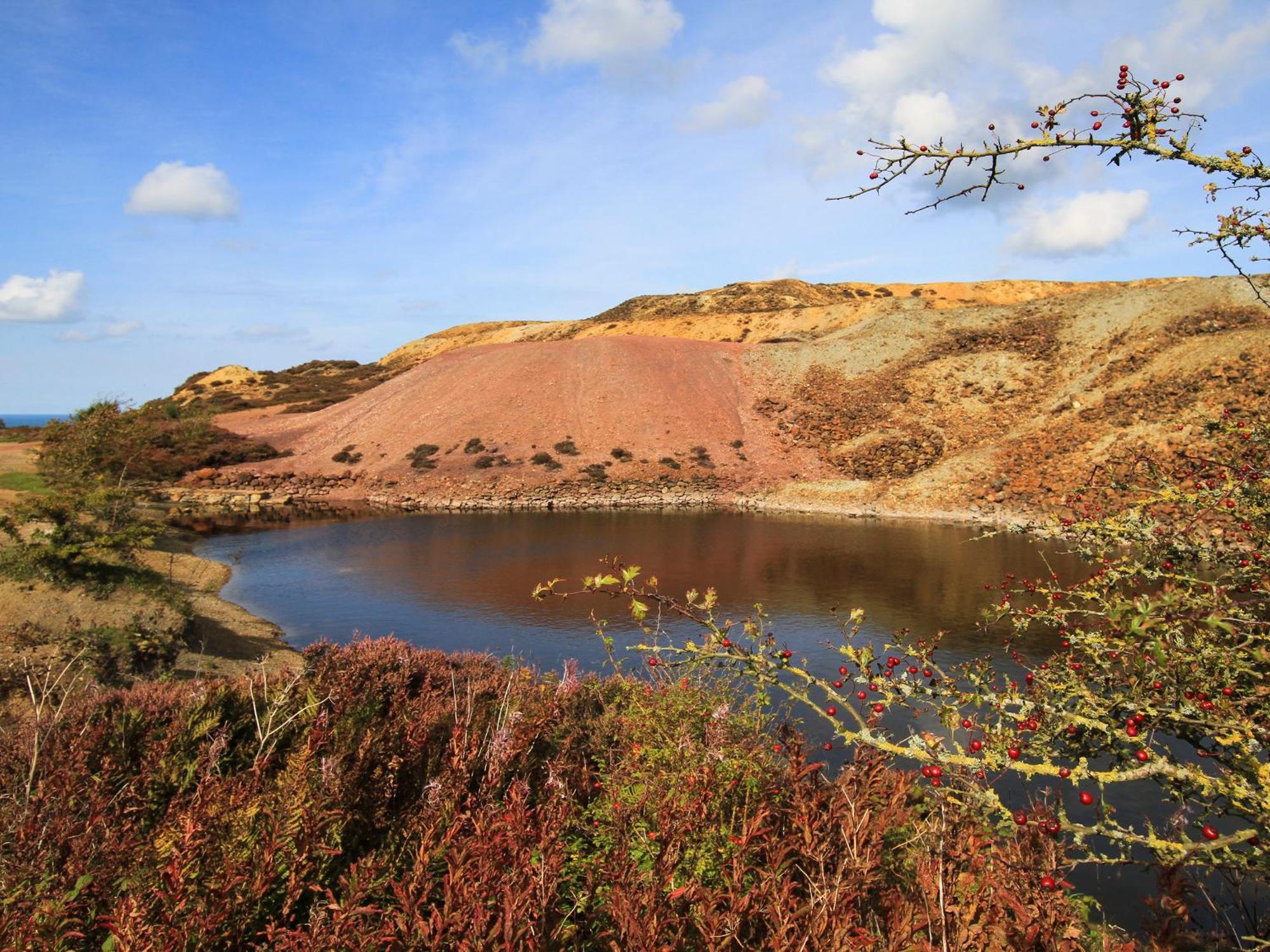 Bryn Llwyd *